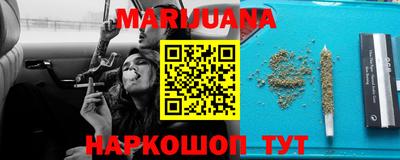 прущие грибы Бердск