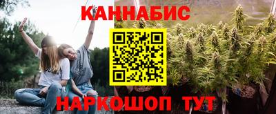 прущие грибы Бердск