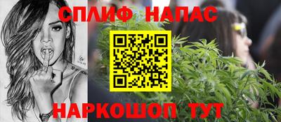 прущие грибы Бердск