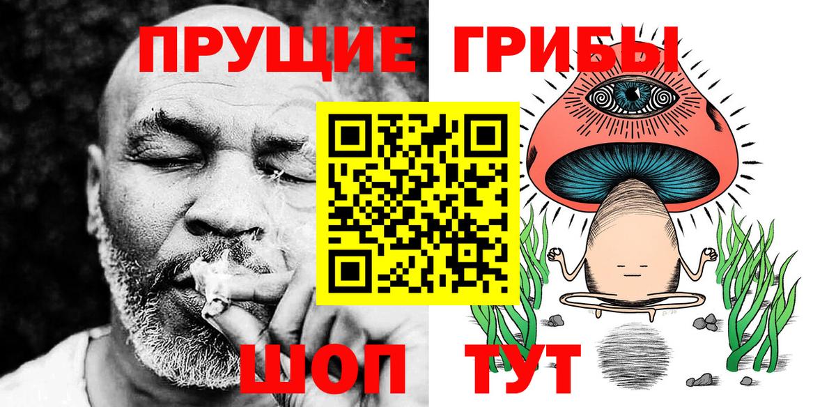 Владимир  Галлюциногенные грибы Cubensis  Вход с VPN  Галлюциногенные грибы Magic Shrooms 